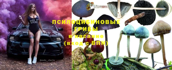 скорость Алзамай