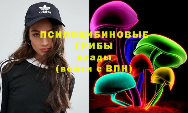 дурь Семёнов