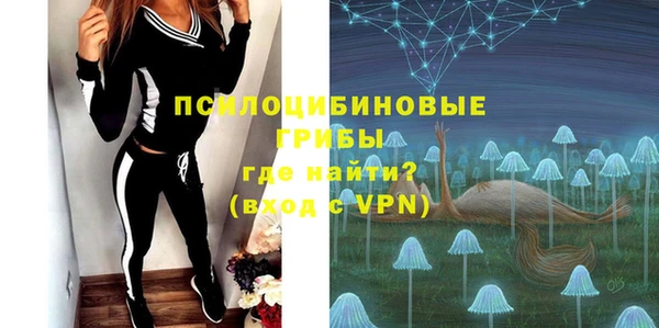 шишки Алексеевка