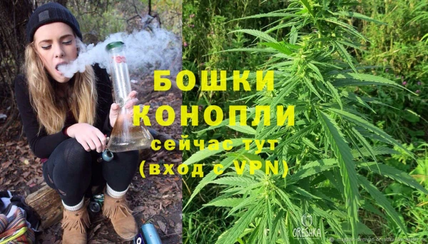 сатива Семилуки