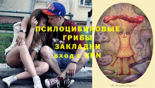 шишки Алексеевка
