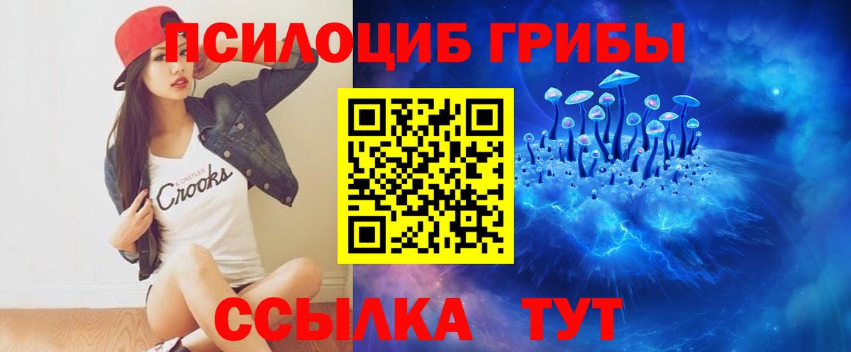 Большой Камень  Галлюциногенные грибы Cubensis  Вход с VPN 
